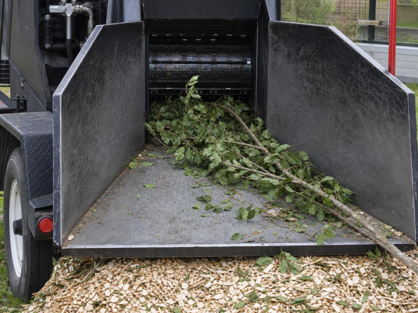 Steel infeed chute and feed rollers of a towable wood chipper drawing in leafy branches over a pile of fresh wood chips