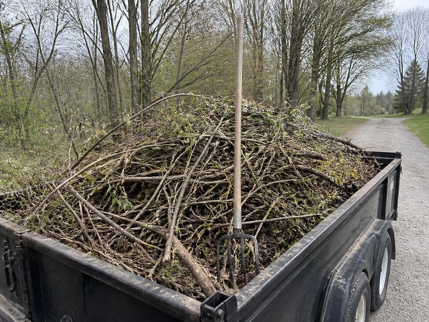 Steel pitchfork standing upright in a dump trailer loaded with tree branches and yard debris on a rural driveway