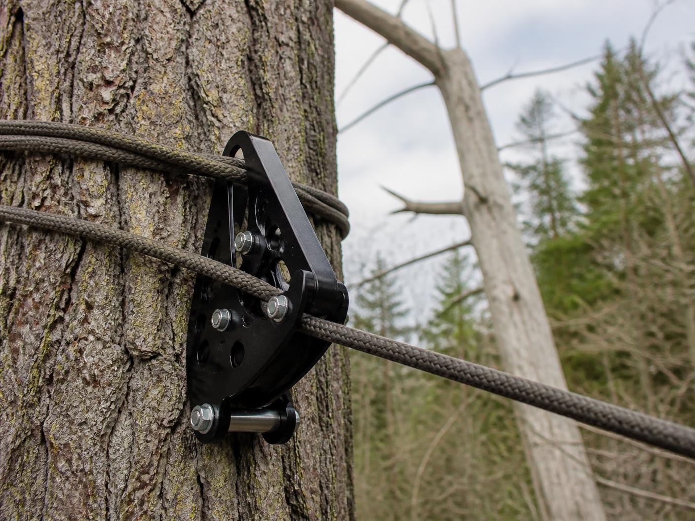 Black arborist port-a-wrap lowering device bolted to a tree trunk with bull rope wrapped under tension